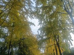 -四川大学(望江校区)