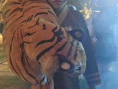 -厦门方特梦幻王国