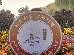 -天津水上公园
