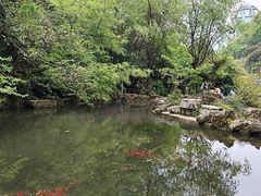-黔灵山公园