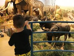 -陕西自然博物馆