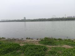 -灞河西岸滨河公园