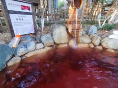 -张家港金凤凰度假村温泉