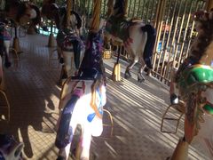 -水上乐园·欢乐世界