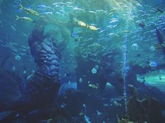 -波塞冬旅游度假区