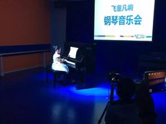 -飞童凡响艺术学校(松江区九里亭校区)