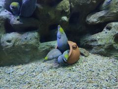 -蓬莱欧乐堡海洋极地世界