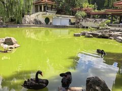 -舜耕山庄四时万和自助餐厅