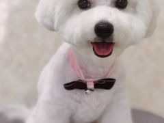 -乐琪宠物(青塔西路店)