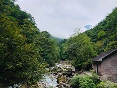 -西岭雪山大飞水景区
