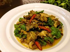 辣椒炒肉-志晖园圆子鸡·辣子鸡(阳光店)