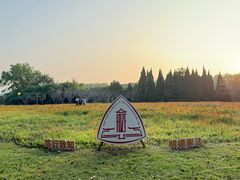 -华东政法大学(松江校区)