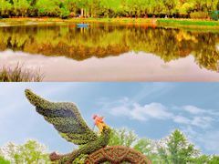 -国家植物园