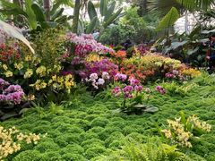 -北京植物园-展览温室