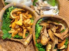 -滇野云南野生菌餐厅(陕西南路店)