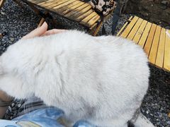 -小时光咖啡馆(开森度假森林店)