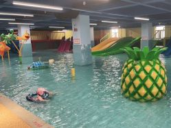 -宝燕乐园(闵行旗舰店)