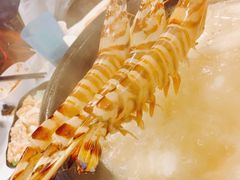 -鲜入围煮花胶鸡海鲜火锅