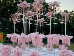 -东南花都花博园