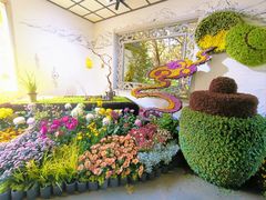 -杭州植物园
