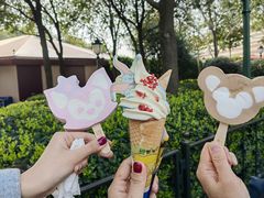 -上海迪士尼度假区