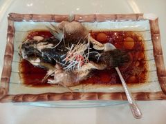 清蒸笋壳鱼-聚宝渔港.五钻酒家(上地店)