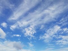 -人民防洪胜利纪念塔