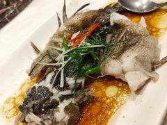 -梅龙镇酒家(南京西路总店)