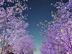 -新天地活力PARK