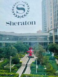 -上海浦东喜来登由由大酒店·宴会厅