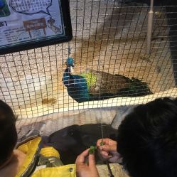 -酷嗒动物文化乐园(cutezoo西溪乐天城店)