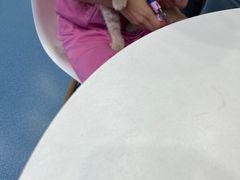 -创凡宠物医院·骨专科  猫科中心(西乡分院)