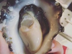 -Oyster Talks 四度蚝法餐厅