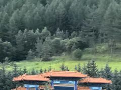 -塞罕坝国家级自然保护区