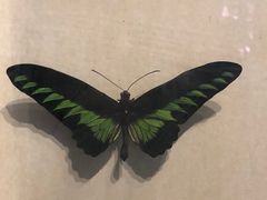 -陕西自然博物馆