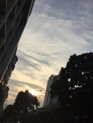 -鹿角肖像摄影艺术馆