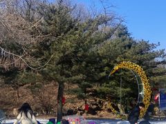 -鲁山国家森林公园