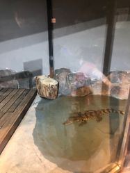 -未来动物城动物主题公园(大悦城店)