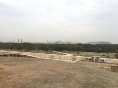 -盘龙城国家考古遗址公园