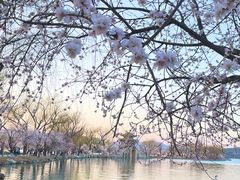 -颐和园