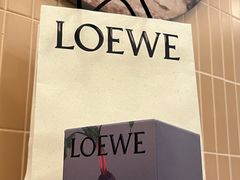 -LOEWE罗意威(北京SKP女装店(一层))