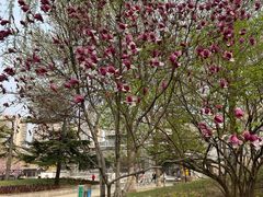 -丰台花园