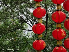 -深圳国际园林花卉博览园