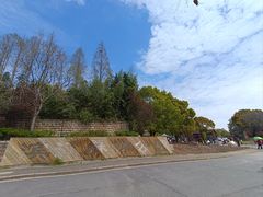 -上海滨江森林公园
