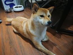 -About Bistro關於·泰式家庭料理