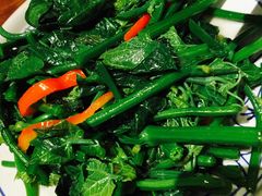 清炒瓜尖-云海肴·汽锅鸡·云南菜(天津国金汇店)