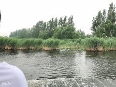 -白洋淀景区