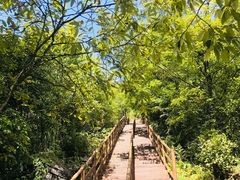-武隆天坑寨子景区