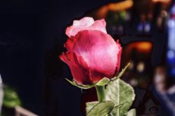 -BARBERKING男士理发馆barber shop