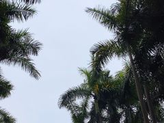 -广州长隆野生动物世界